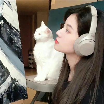 我的街区第二季封面