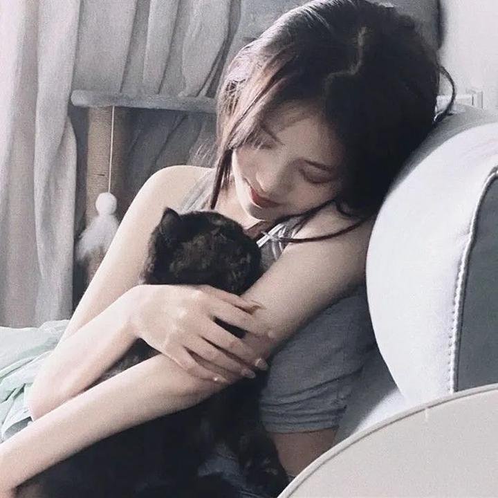 我们陷入恋爱的理由封面